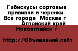 Гибискусы сортовые, прививки и черенки - Все города, Москва г.  »    . Алтайский край,Новоалтайск г.